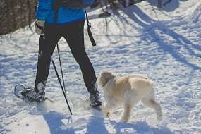 Wie und wo Schneeschuhwandern